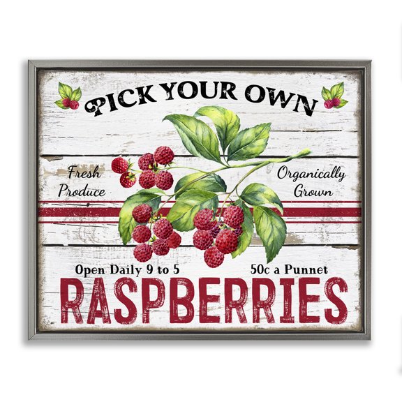 Stupell Industries Pick Your Own Raspberries Food & Beverage Painting Gray Floater Framed Canvas Art Print Wall Art, 31 x 25