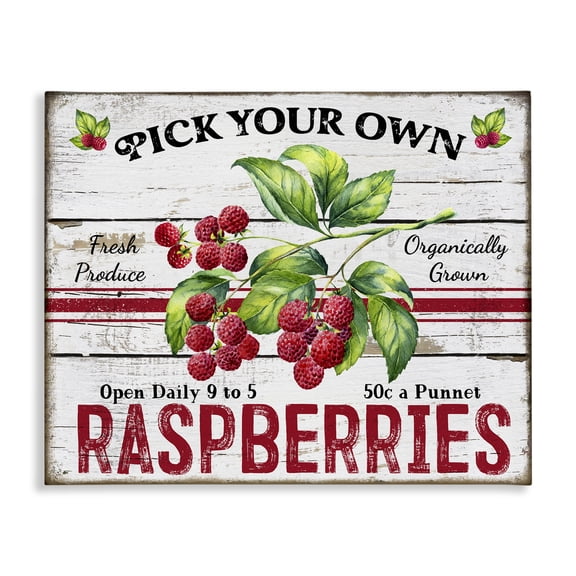 Stupell Industries Pick Your Own Raspberries Food & Beverage Painting Wrapped Canvas Art Print Wall Art, 48 x 36