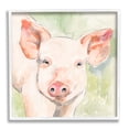 thumbnail image 1 of Stupell Industries Pig Portrait on Green Animals & Insects Painting White Framed Art Print Wall Art, 12 x 12, 1 of 9