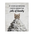 thumbnail image 1 of Stupell Industries Piles Of Laundry Cat Quotes and Sayings Painting Wrapped Canvas Canvas Art Print Wall Art, 16 x 20, 1 of 7