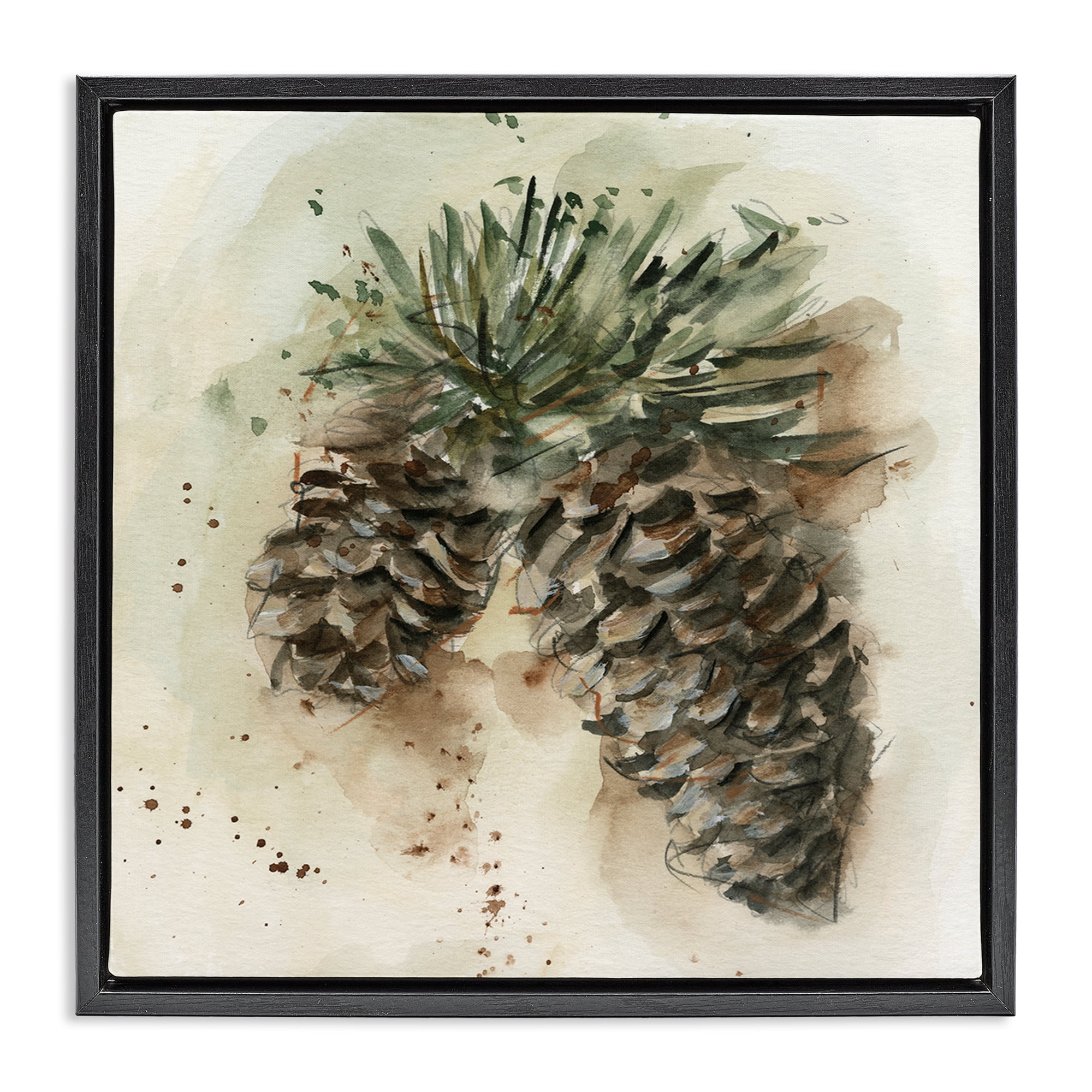 Stupell Industries Pine Cone Watercolor Plants & Flowers Painting Black Floater Framed Canvas Art Print Wall Art, 25 x 25