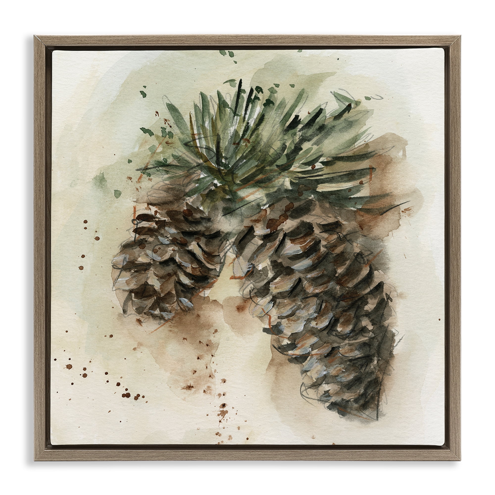 Stupell Industries Pine Cone Watercolor Plants & Flowers Painting Brown Floater Framed Canvas Art Print Wall Art, 25 x 25