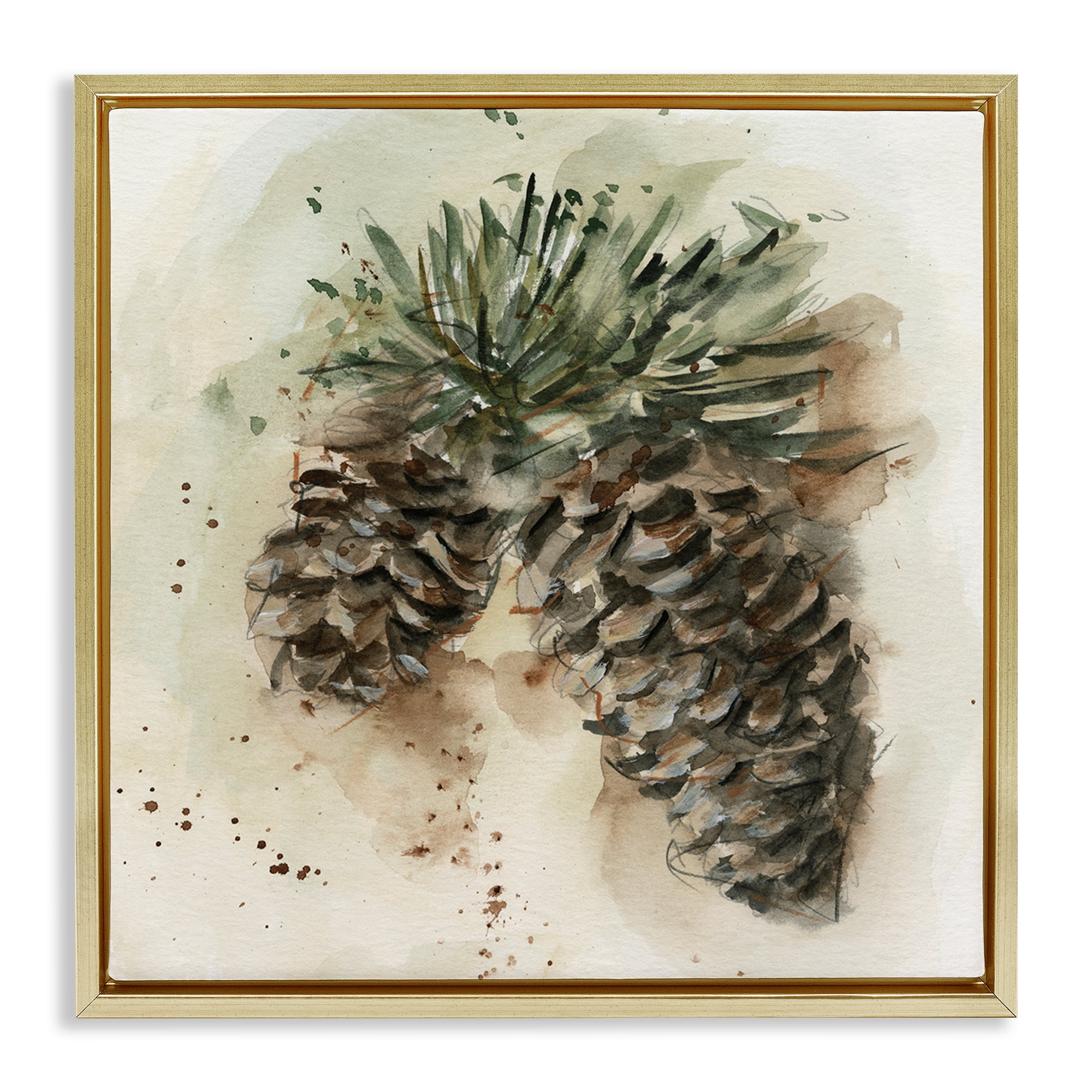 Stupell Industries Pine Cone Watercolor Plants & Flowers Painting Gold Floater Framed Canvas Art Print Wall Art, 25 x 25