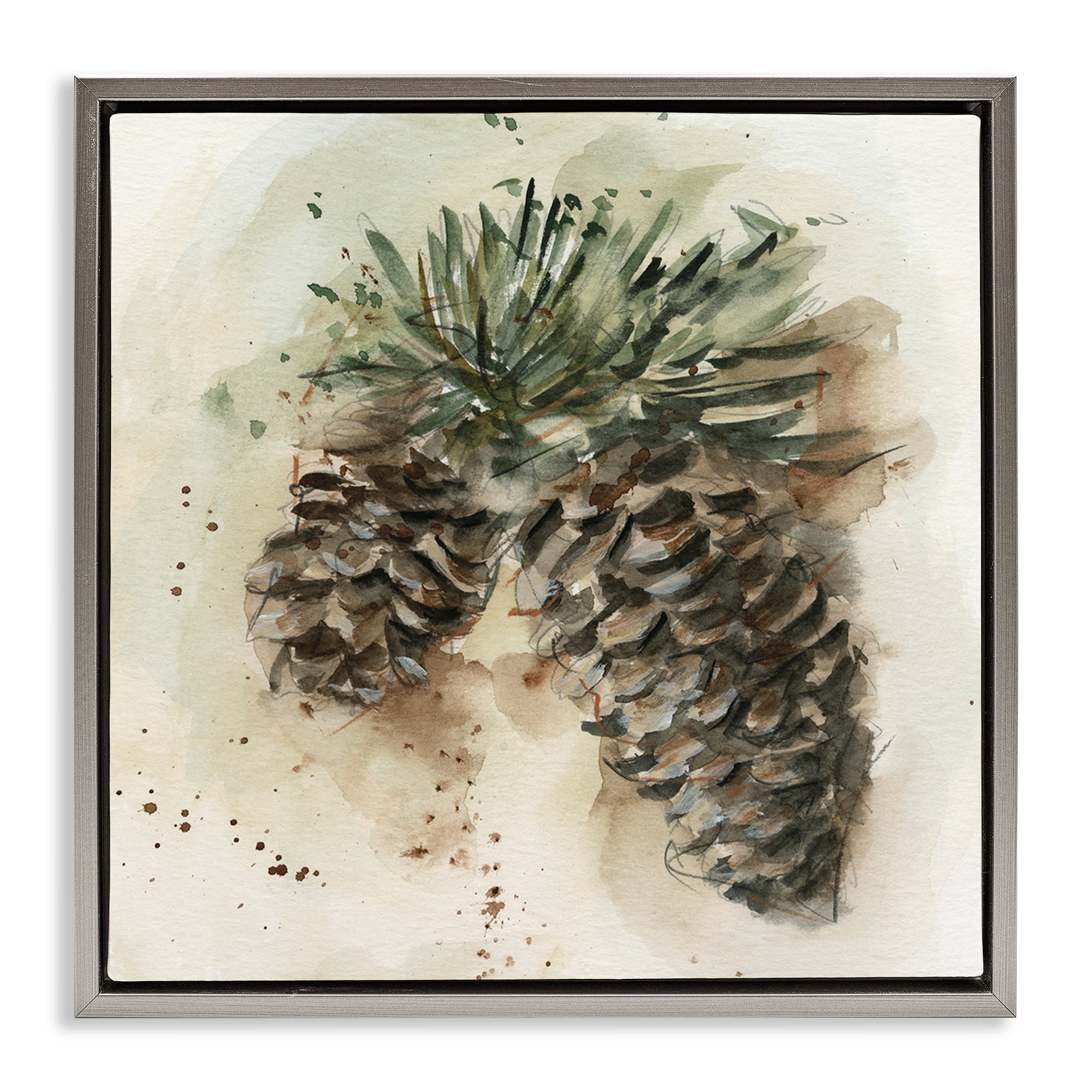Stupell Industries Pine Cone Watercolor Plants & Flowers Painting Gray Floater Framed Canvas Art Print Wall Art, 18 x 18