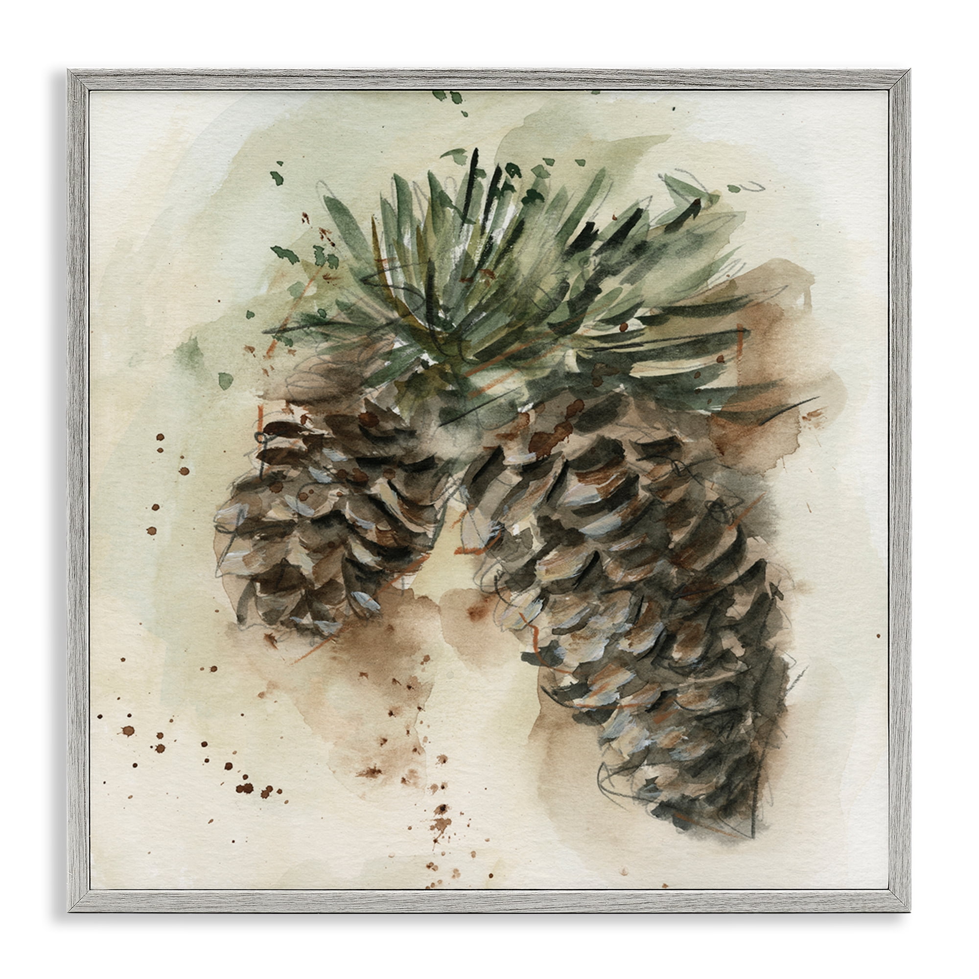 Stupell Industries Pine Cone Watercolor Plants & Flowers Painting Gray Framed Art Print Wall Art, 24 x 24