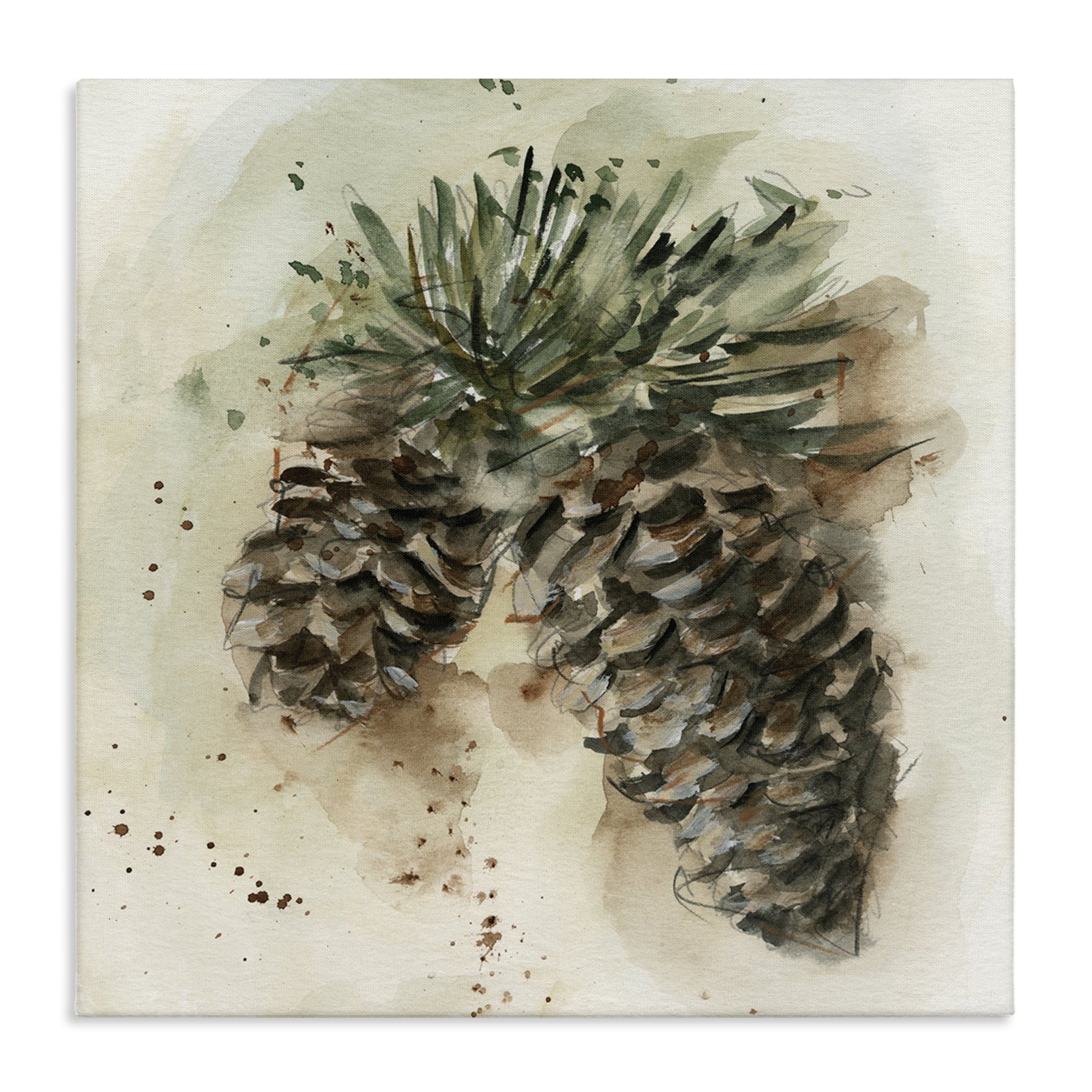 Stupell Industries Pine Cone Watercolor Plants & Flowers Painting Wrapped Canvas Art Print Wall Art, 24 x 24