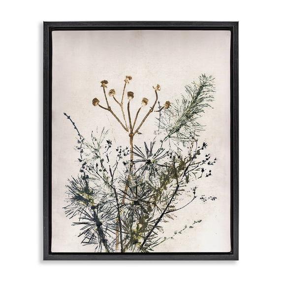 Stupell Industries Bohemian Pine Needles Impression Black Floating Frame Canvas Art, 17 x 21, by Pernille Folcarelli