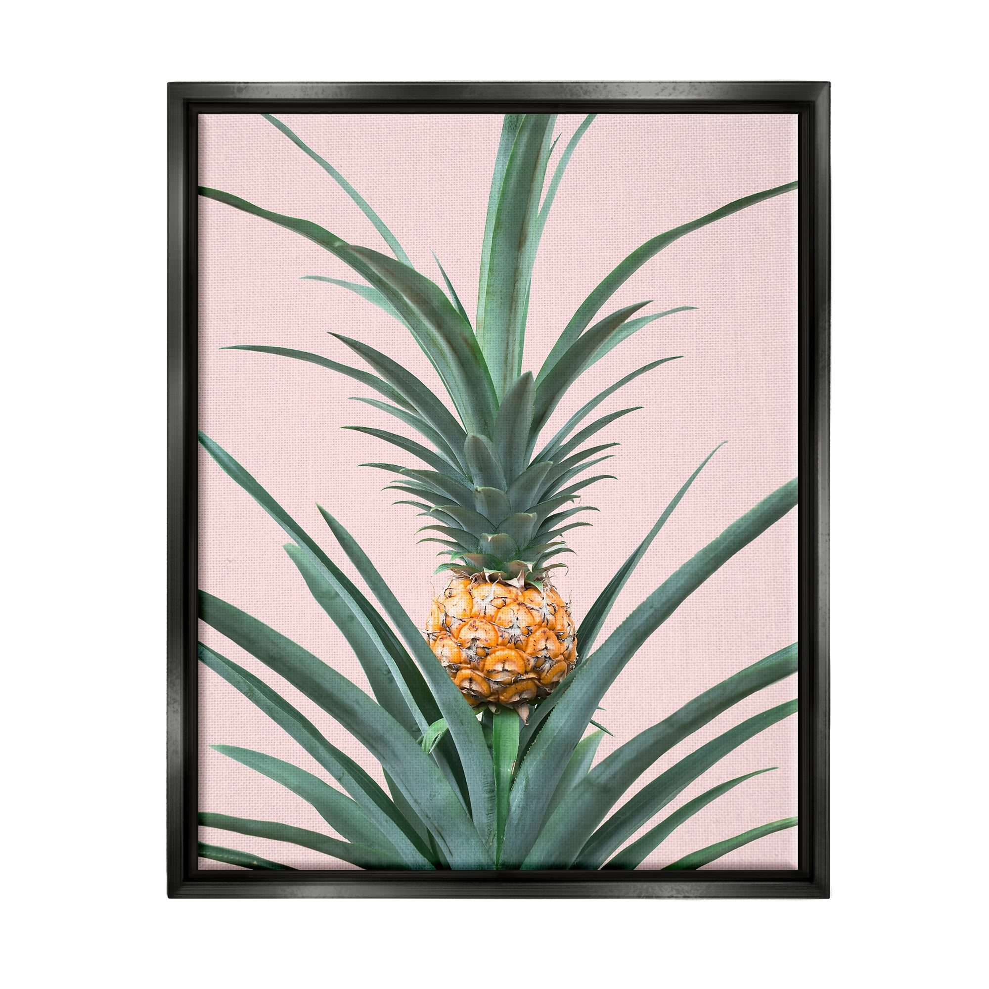 Stupell Industries Pineapple Plant on Pink Food & Beverage Photography Black Floater Framed Art Print Wall Art, 17 x 21