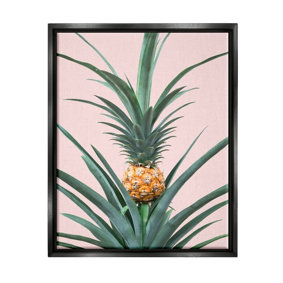 Stupell Industries Pineapple Plant on Pink Food & Beverage Photography Black Floater Framed Art Print Wall Art, 25 x 31
