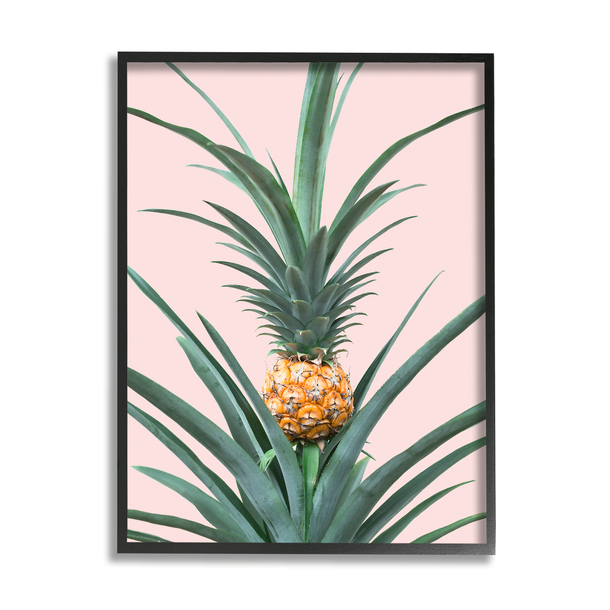 Stupell Industries Pineapple Plant on Pink Food & Beverage Photography Black Framed Art Print Wall Art, 24 x 30