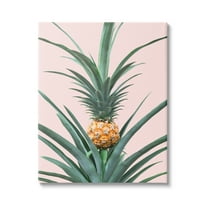 Stupell Industries Pineapple Plant on Pink Food & Beverage Photography Gallery Wrapped Canvas Print Wall Art, 16 x 20
