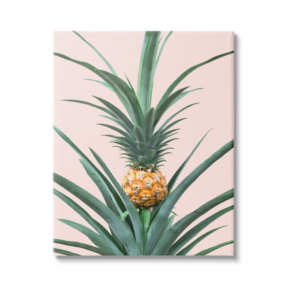 Stupell Industries Pineapple Plant on Pink Food & Beverage Photography Gallery Wrapped Canvas Print Wall Art, 16 x 20