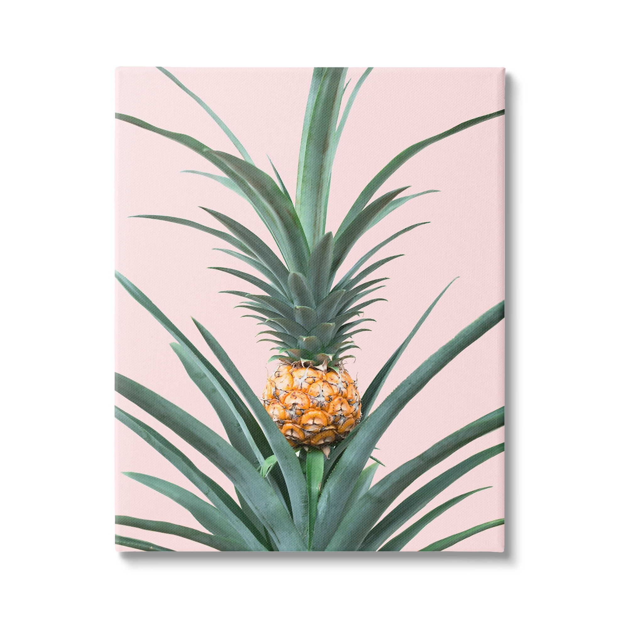 Stupell Industries Pineapple Plant on Pink Food & Beverage Photography Gallery Wrapped Canvas Print Wall Art, 36 x 48