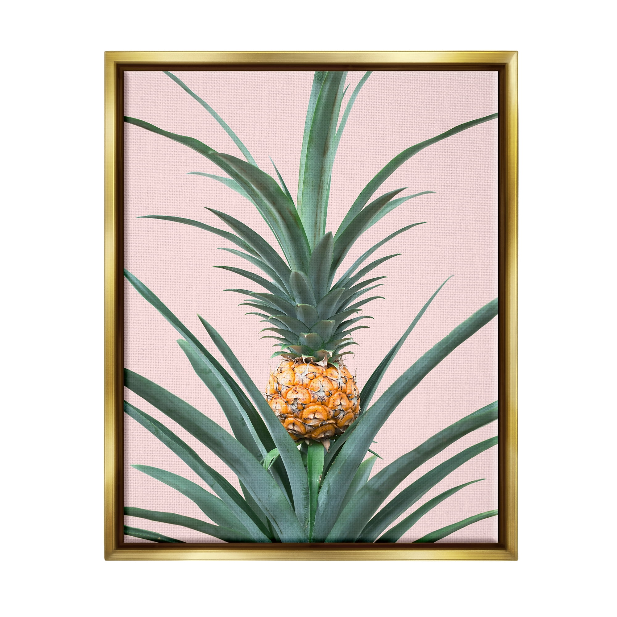 Stupell Industries Pineapple Plant on Pink Food & Beverage Photography Gold Floater Framed Art Print Wall Art, 17 x 21