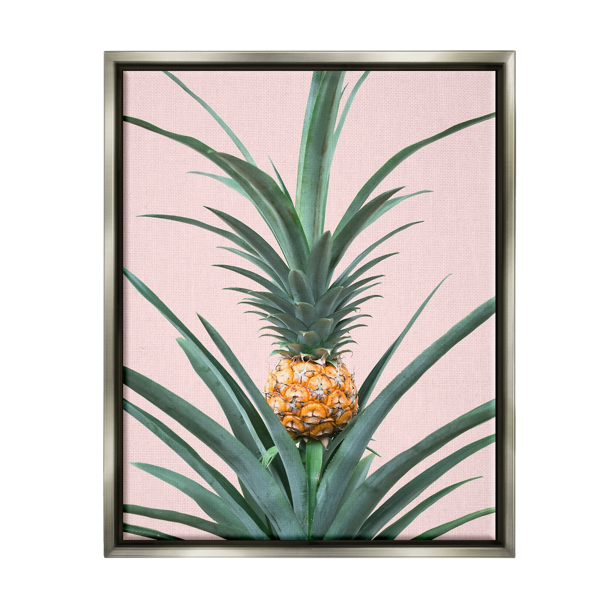Stupell Industries Pineapple Plant on Pink Food & Beverage Photography Gray Floater Framed Art Print Wall Art, 17 x 21