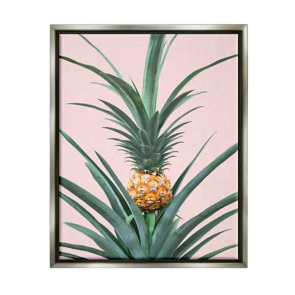 Stupell Industries Pineapple Plant on Pink Food & Beverage Photography Gray Floater Framed Art Print Wall Art, 25 x 31