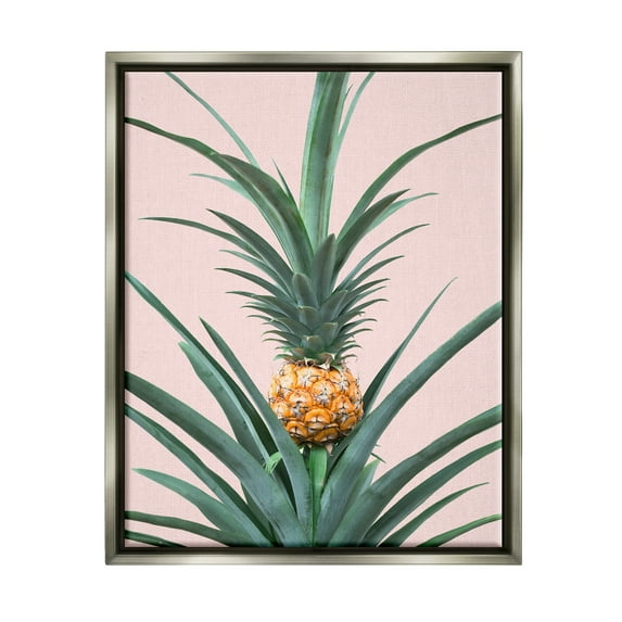 Stupell Industries Pineapple Plant on Pink Food & Beverage Photography Gray Floater Framed Art Print Wall Art, 25 x 31