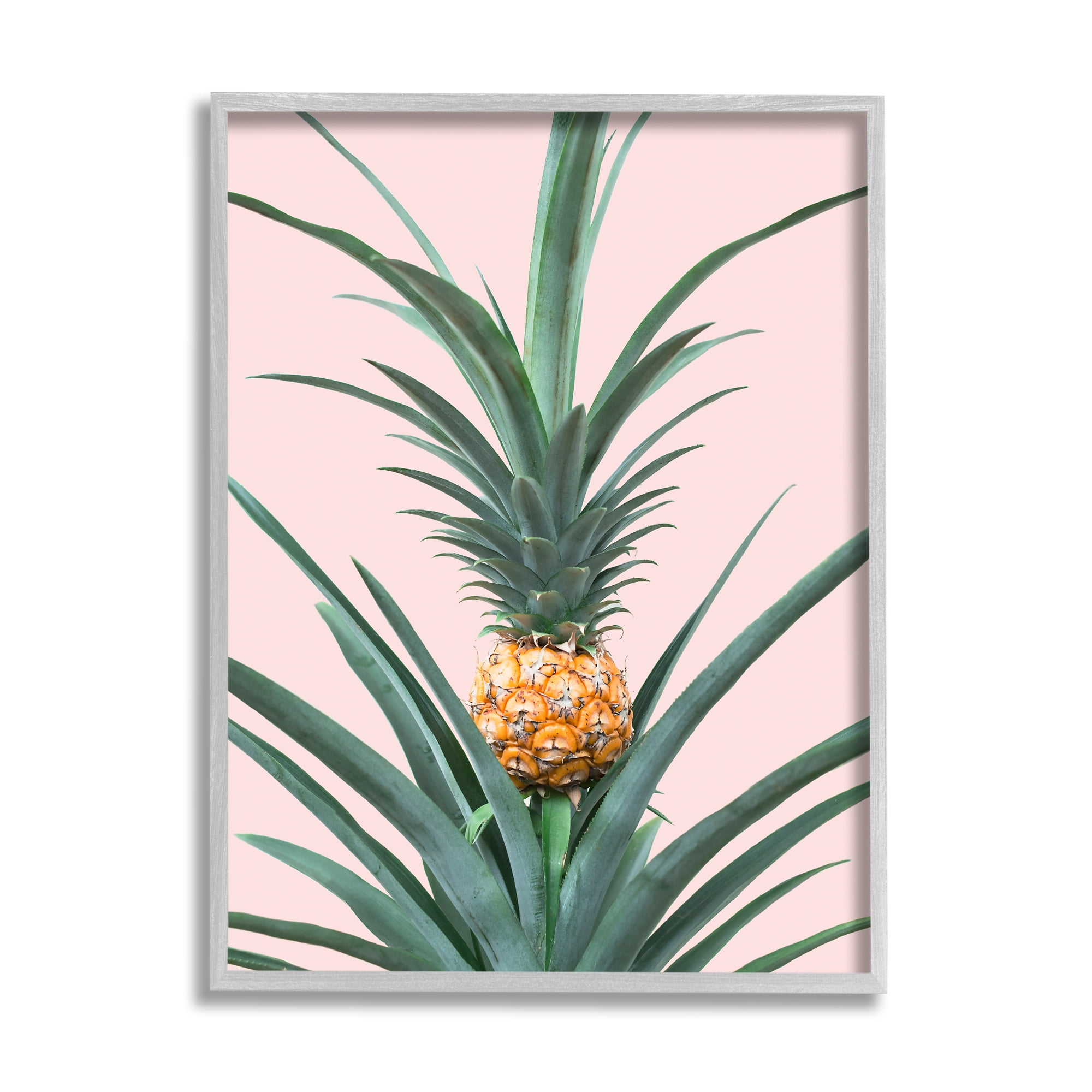 Stupell Industries Pineapple Plant on Pink Food & Beverage Photography Gray Framed Art Print Wall Art, 24 x 30