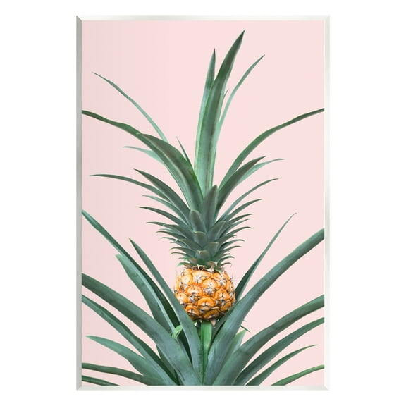 Stupell Industries Pineapple Plant on Pink Food & Beverage Photography Unframed Art Print Wall Art, 13 x 19