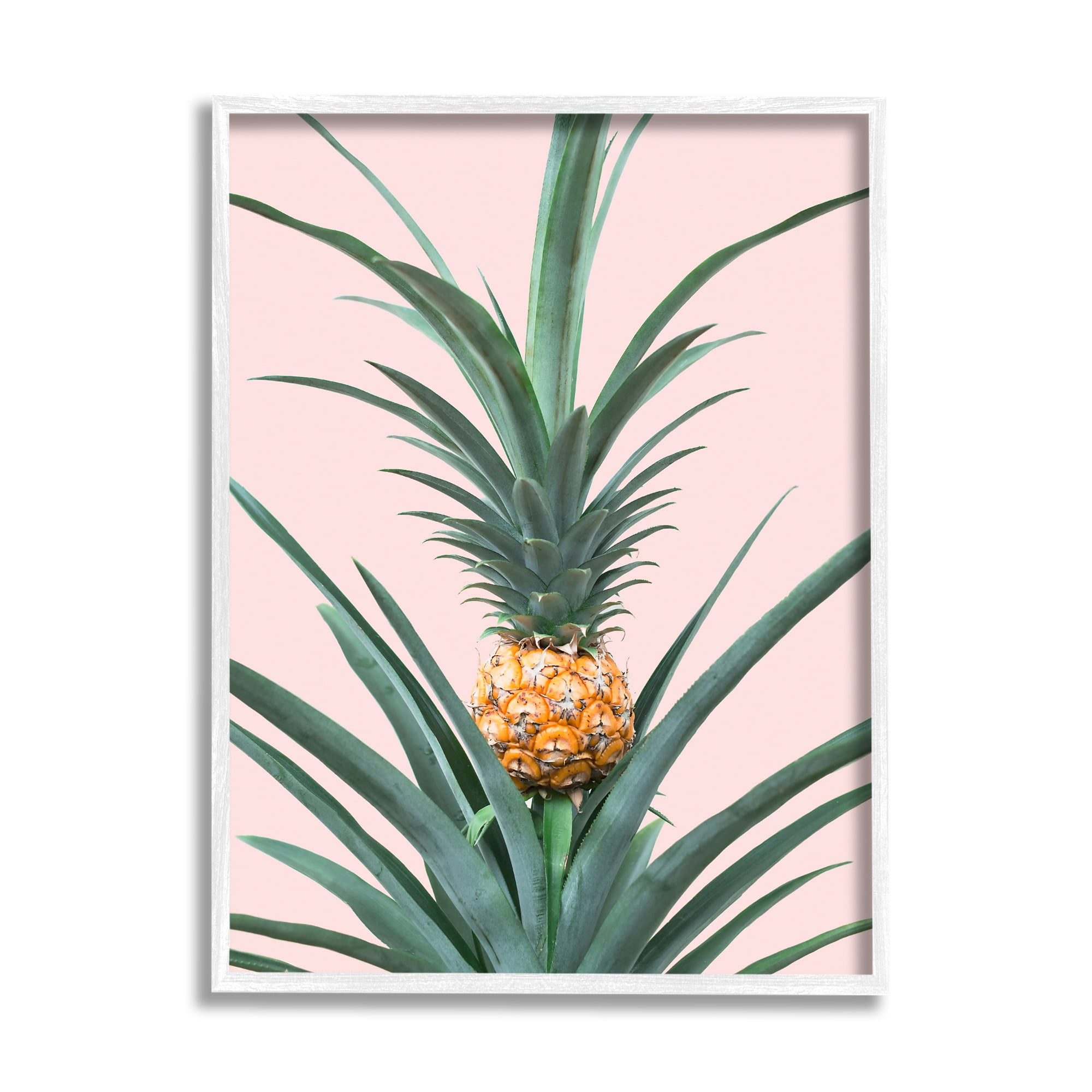 Stupell Industries Pineapple Plant on Pink Food & Beverage Photography White Framed Art Print Wall Art, 16 x 20