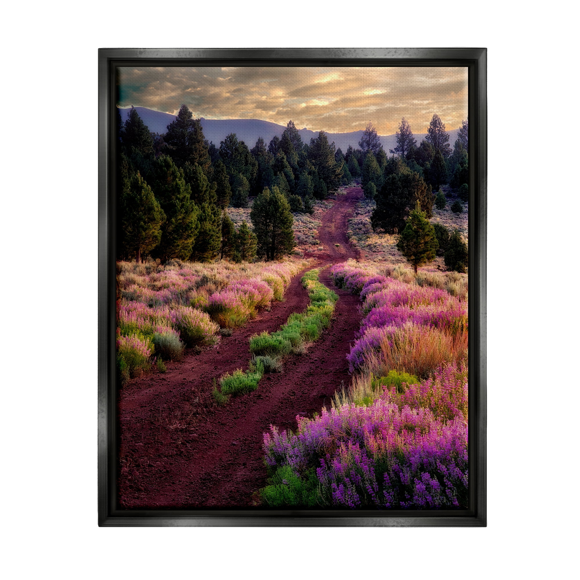 Stupell Industries Pink Blooming Meadow Landscape Landscape Photography Black Floater Framed Art Print Wall Art