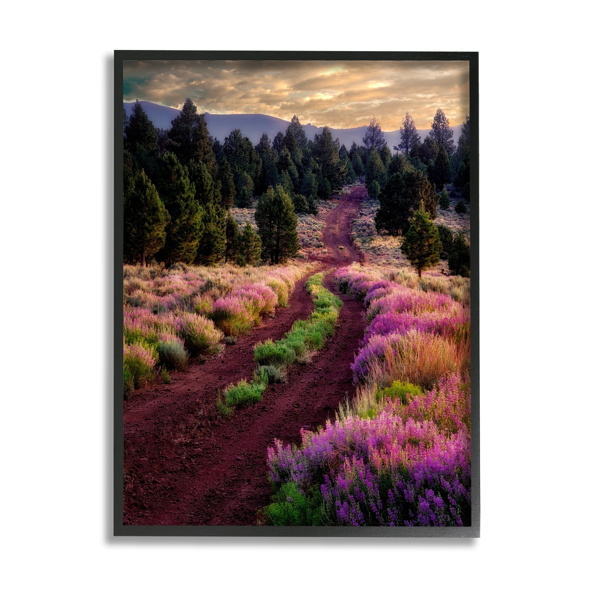 Stupell Industries Pink Blooming Meadow Landscape Landscape Photography Black Framed Art Print Wall Art