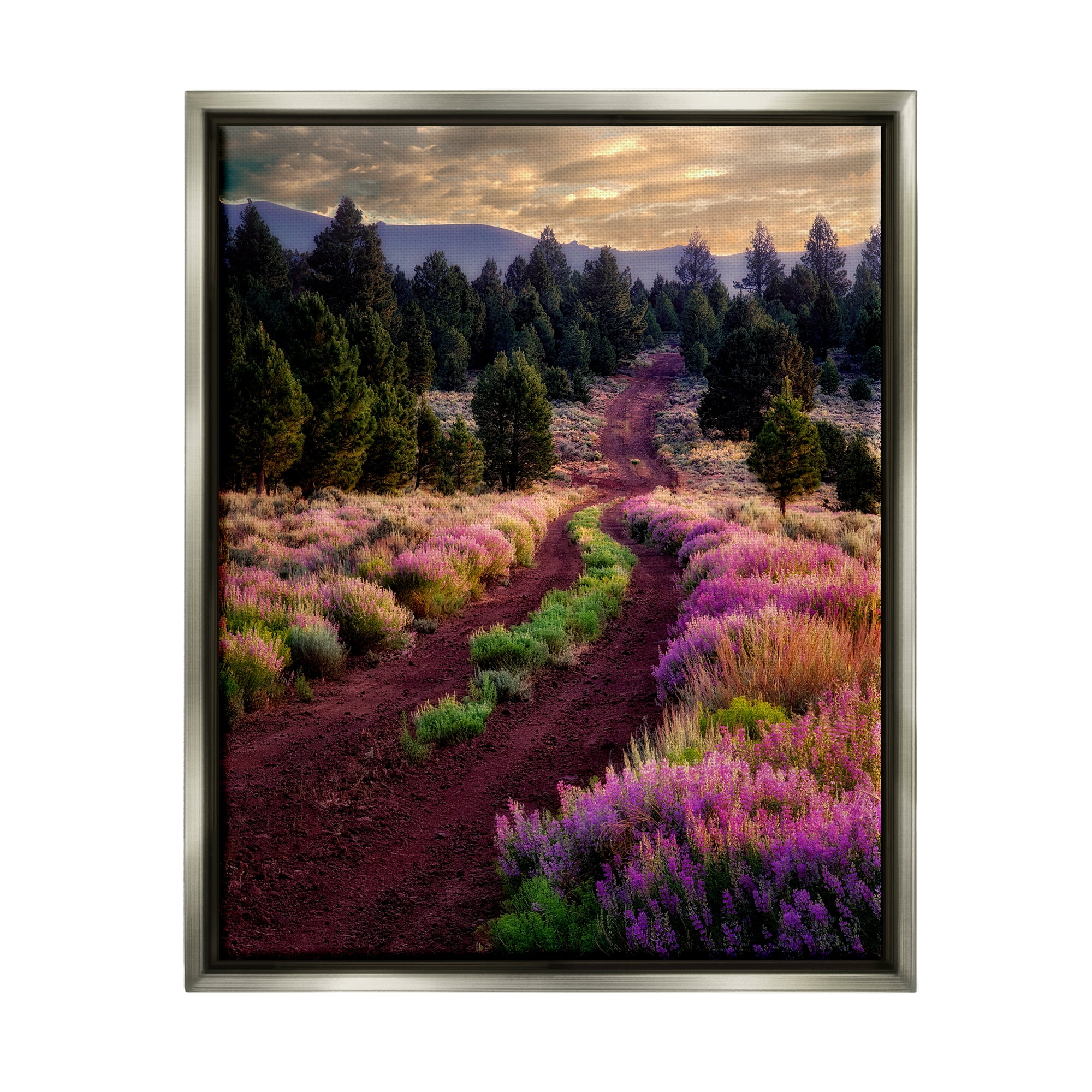 Stupell Industries Pink Blooming Meadow Landscape Landscape Photography Gray Floater Framed Art Print Wall Art