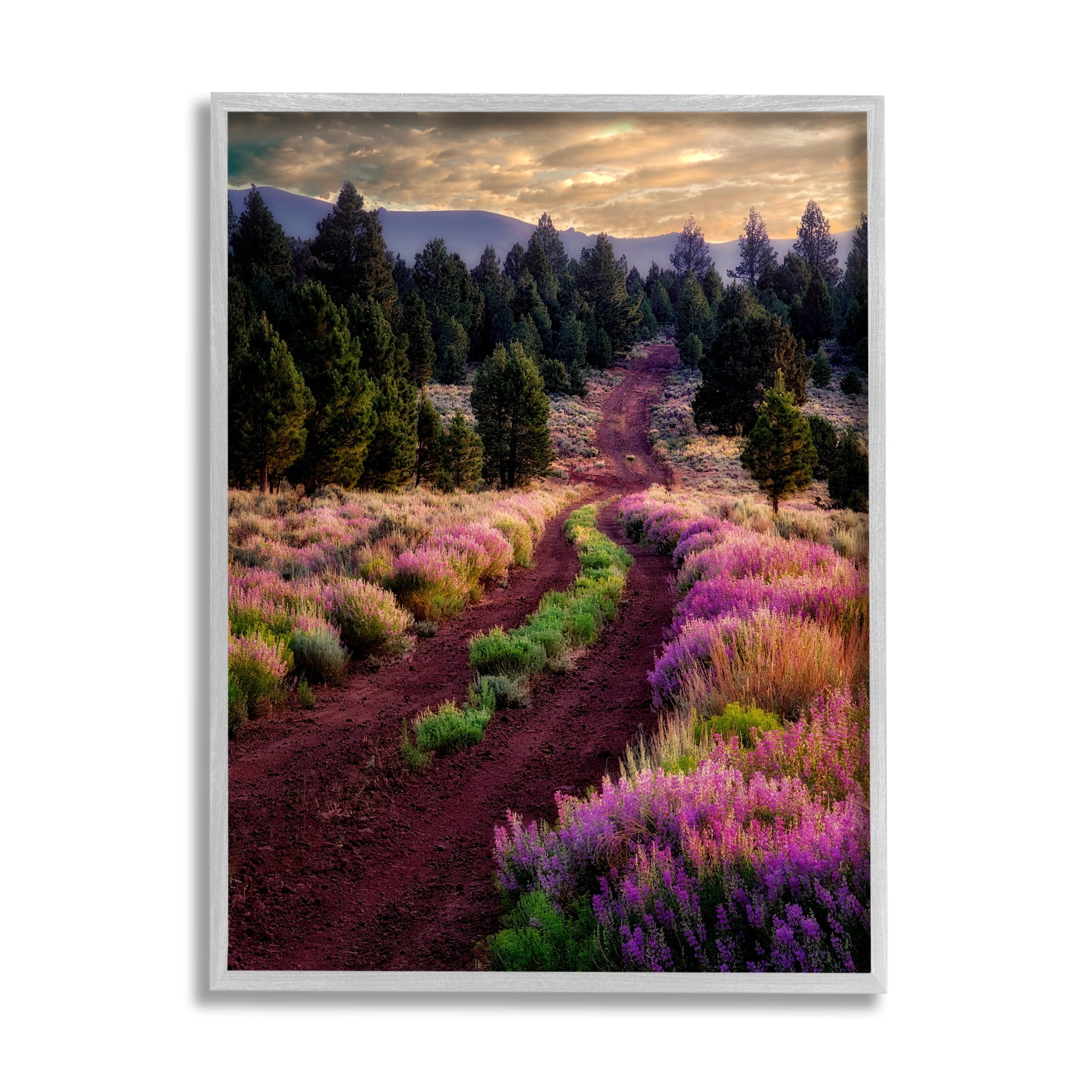Gray Framed Pink Blooming Meadow Landscape Canvas Print