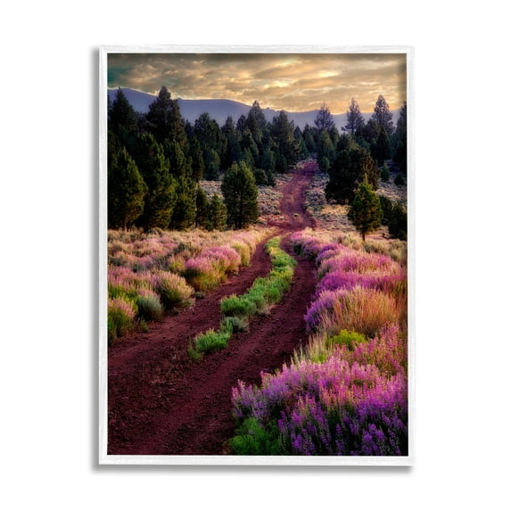 Stupell Industries Pink Blooming Meadow Landscape Landscape Photography White Framed Art Print Wall Art