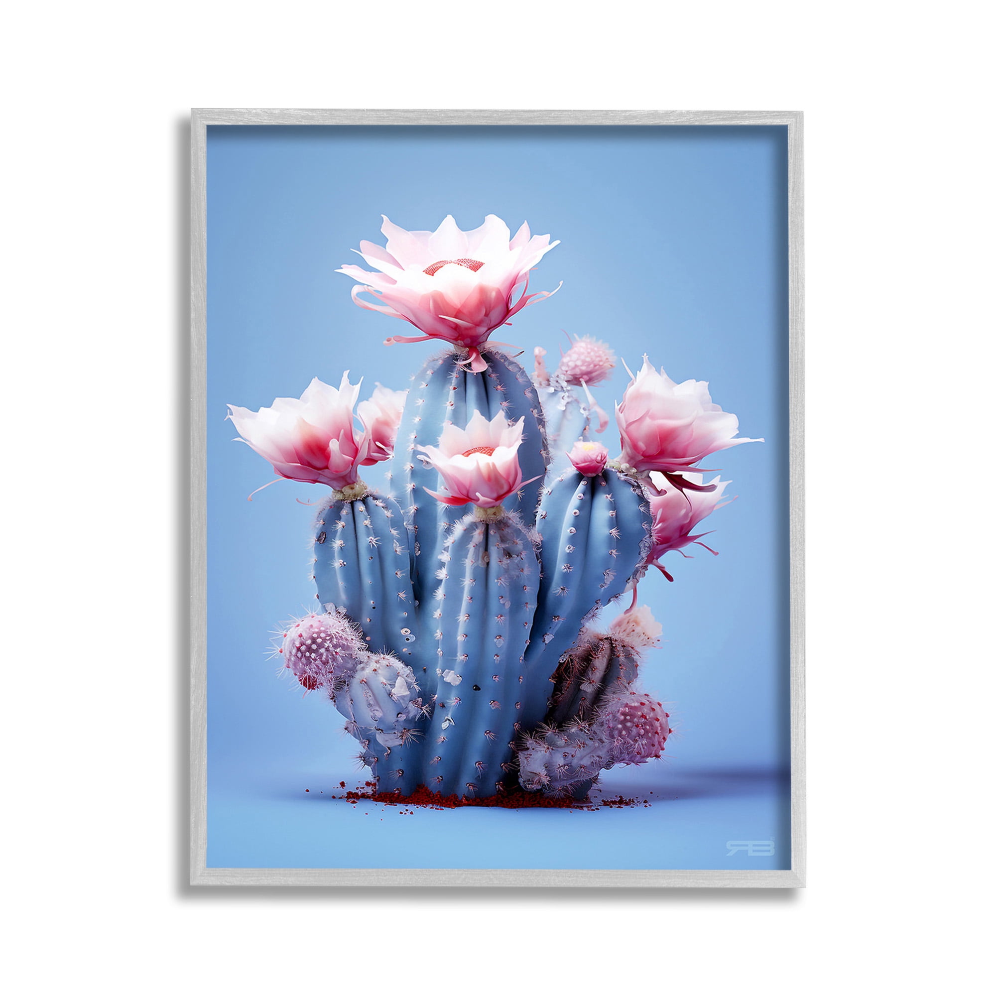 Stupell Industries Pink & Blue Cactus Flowers Botanical & Floral Painting Gray Framed Art Print Wall Art, 11 x 14