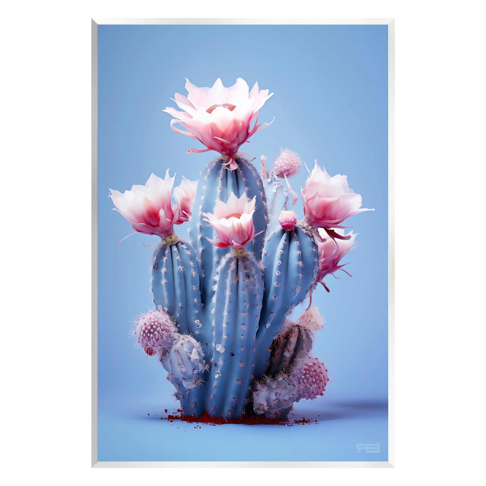 Stupell Industries Pink & Blue Cactus Flowers Botanical & Floral Painting Unframed Art Print Wall Art, 13 x 19