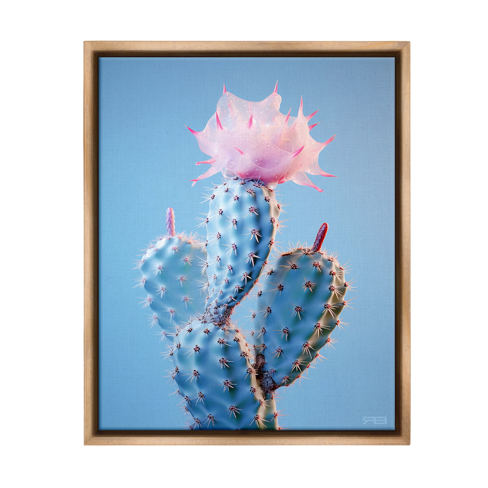 Stupell Industries Pink Budding Cactus Flowers Botanical & Floral Painting Brown Floater Framed Canvas Art Print Wall Art, 17 x 21