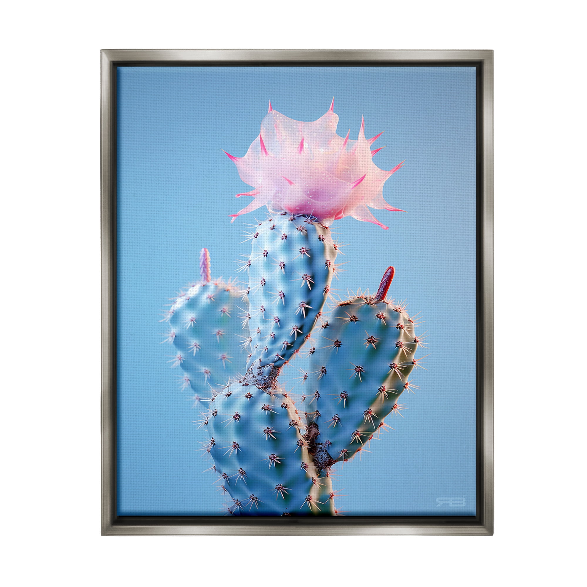 Stupell Industries Pink Budding Cactus Flowers Botanical & Floral Painting Gray Floater Framed Canvas Art Print Wall Art, 25 x 31