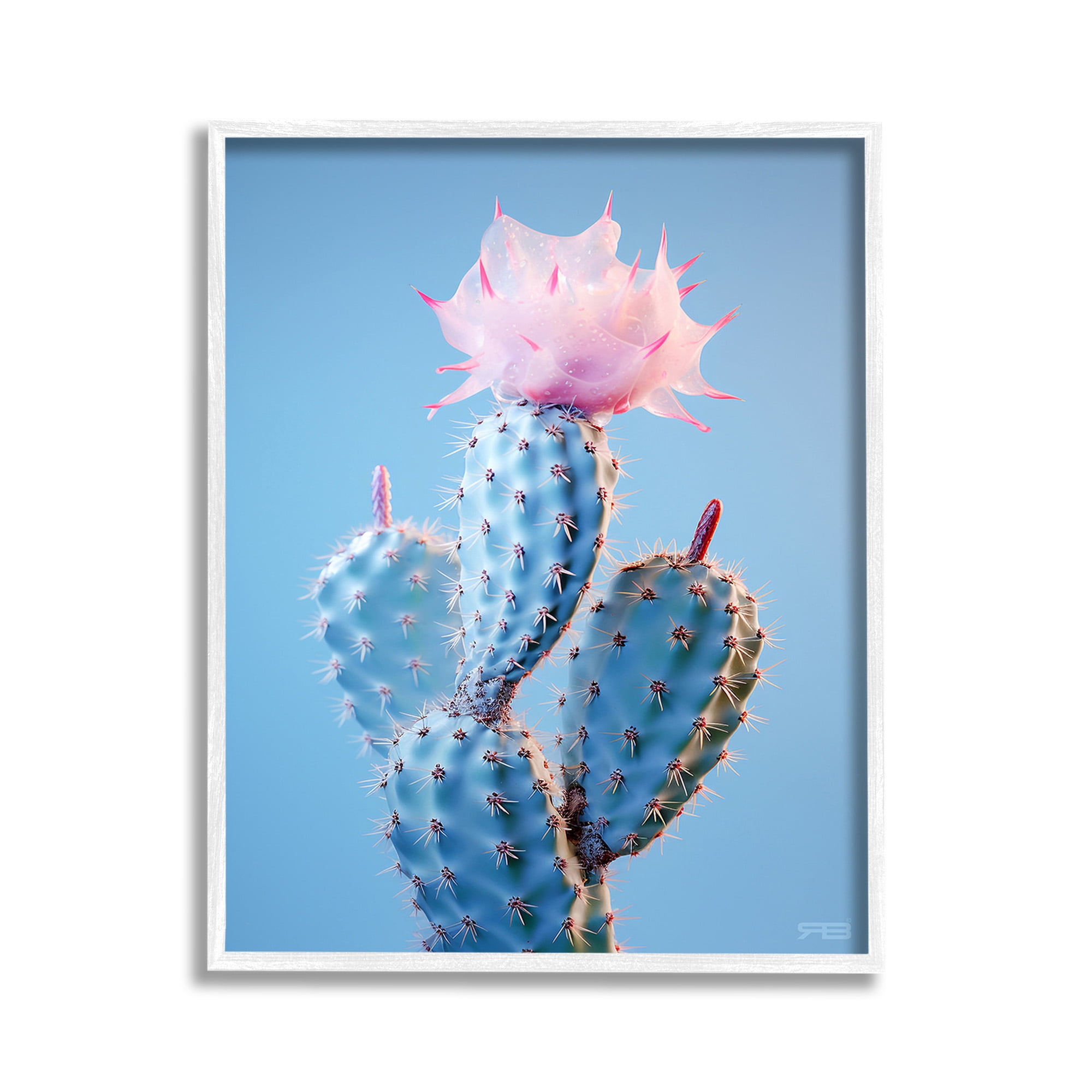 Stupell Industries Pink Budding Cactus Flowers Botanical & Floral Painting White Framed Art Print Wall Art, 11 x 14