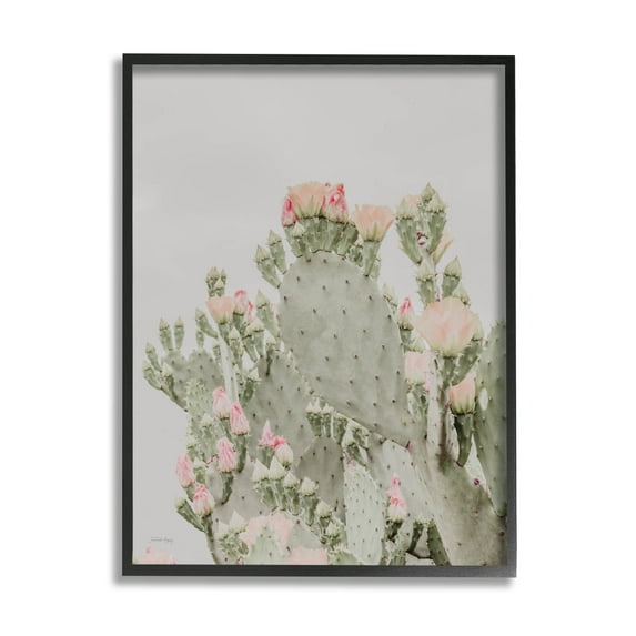 Stupell Industries Pink Cactus Blossoms Photograph Black Framed Art Print Wall Art, Design by Jennifer Rigsby