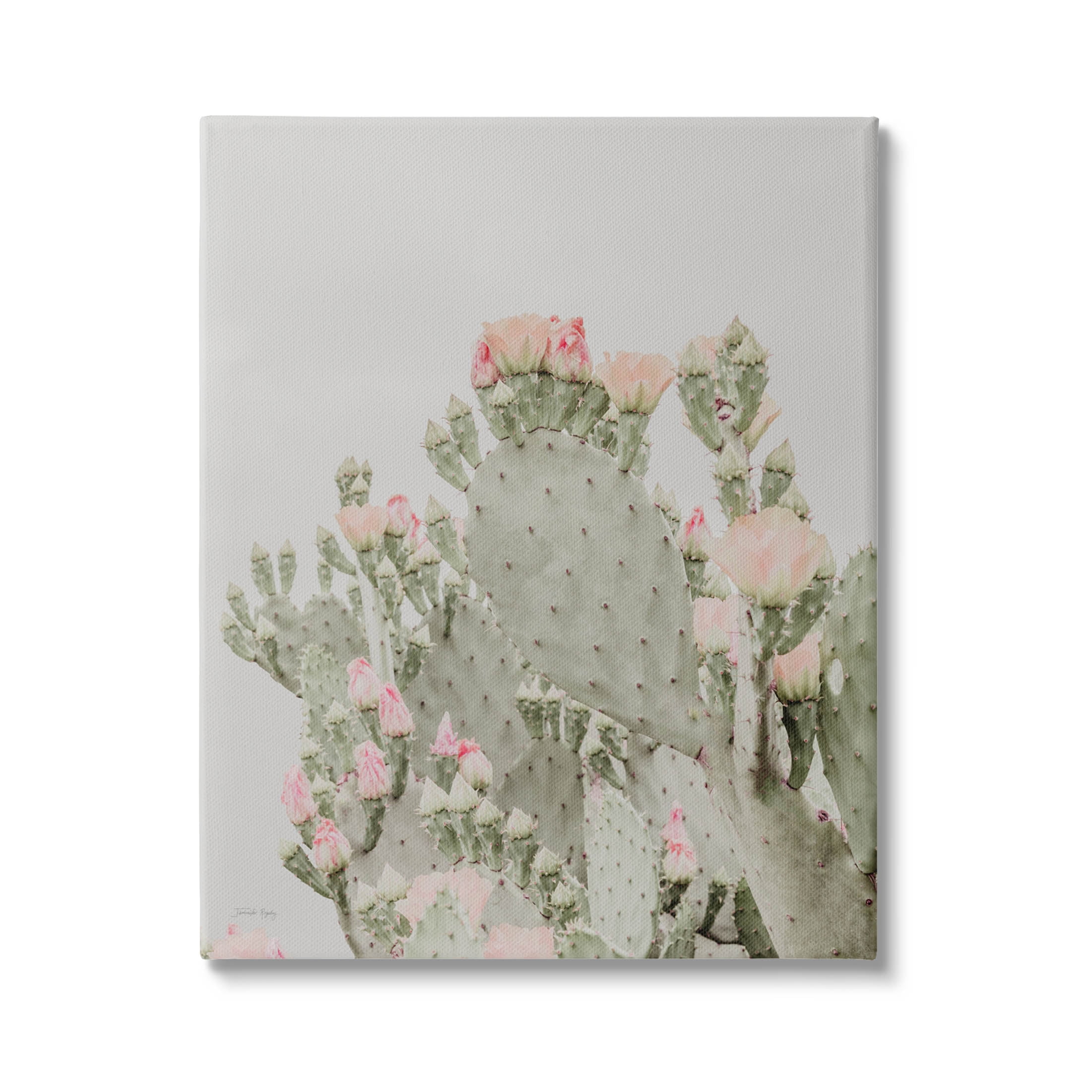 Stupell Industries Pink Cactus Blossoms Photograph Gallery Wrapped Canvas Print Wall Art, Design by Jennifer Rigsby