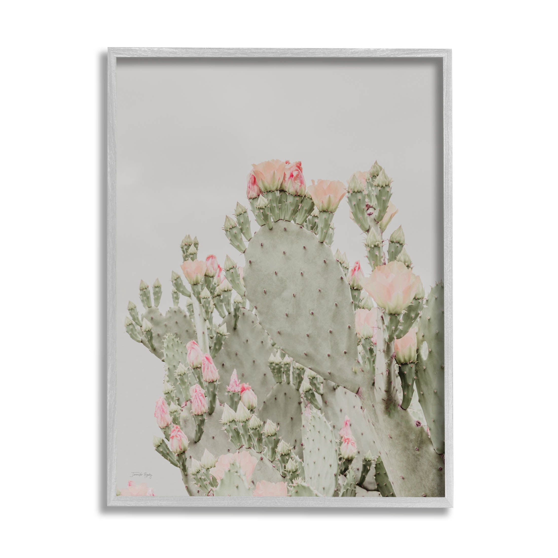 Stupell Industries Pink Cactus Blossoms Photograph Gray Framed Art Print Wall Art, Design by Jennifer Rigsby