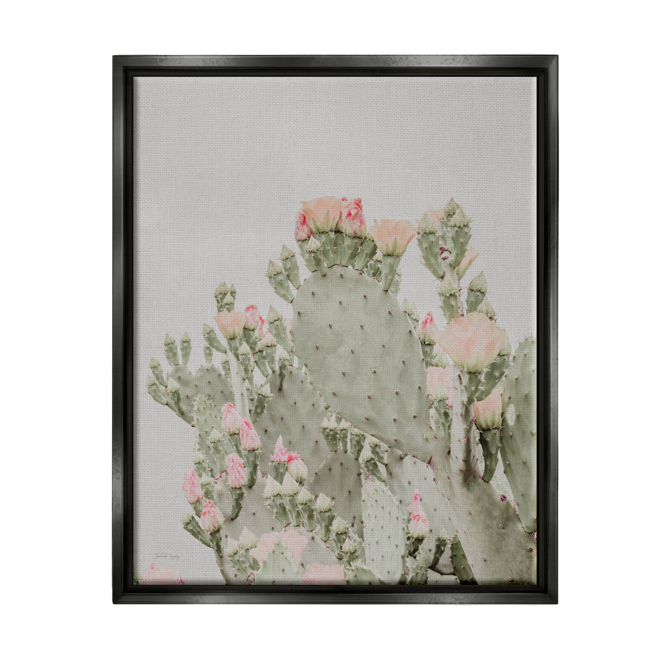Stupell Industries Pink Cactus Blossoms Photograph Jet Black Floating Framed Canvas Print Wall Art, Design by Jennifer Rigsby