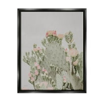 Stupell Industries Pink Cactus Blossoms Photograph Jet Black Floating Framed Canvas Print Wall Art, Design by Jennifer Rigsby