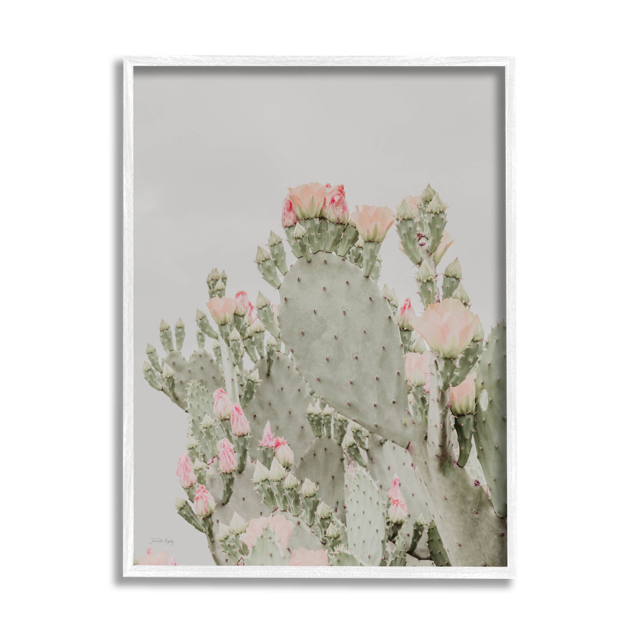 Stupell Industries Pink Cactus Blossoms Photograph White Framed Art Print Wall Art, Design by Jennifer Rigsby