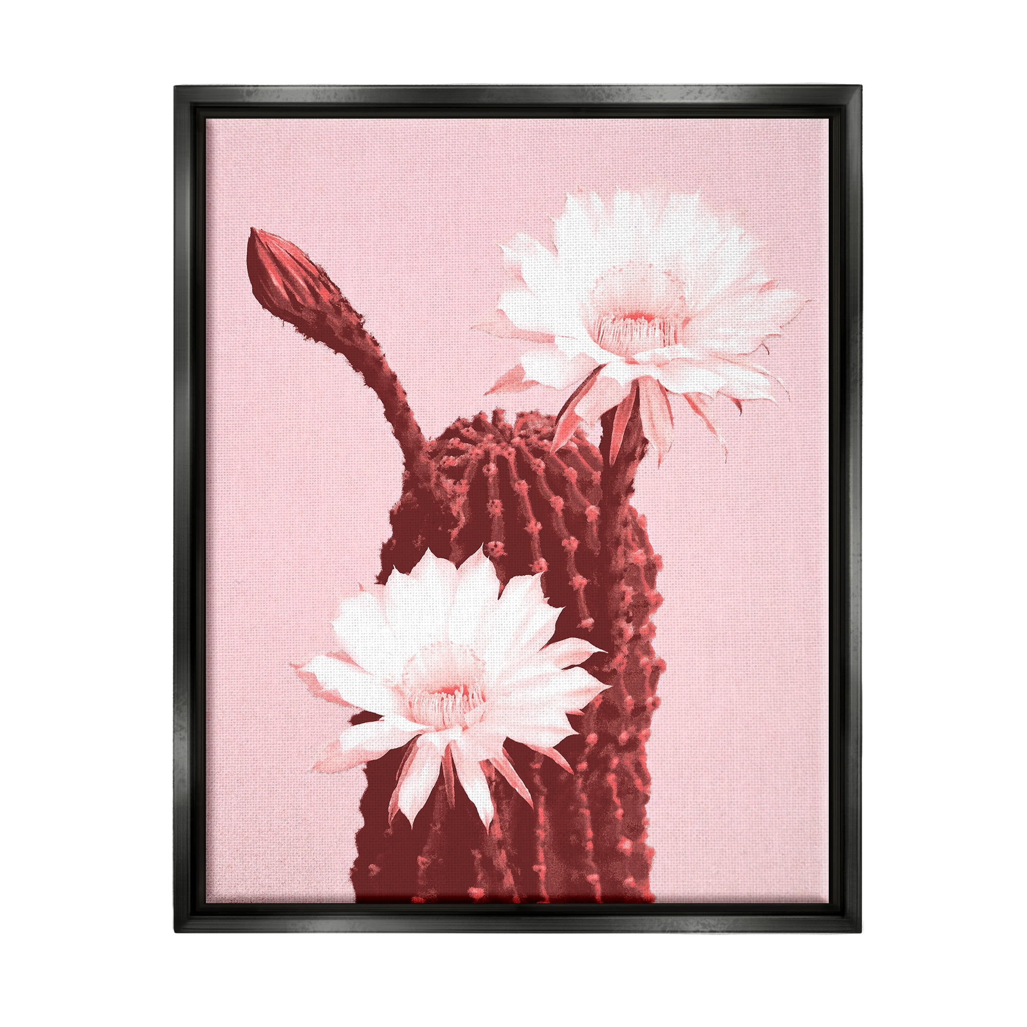Stupell Industries Pink Cactus Flowers Botanical & Floral Painting Black Floater Framed Art Print Wall Art, 25 x 31