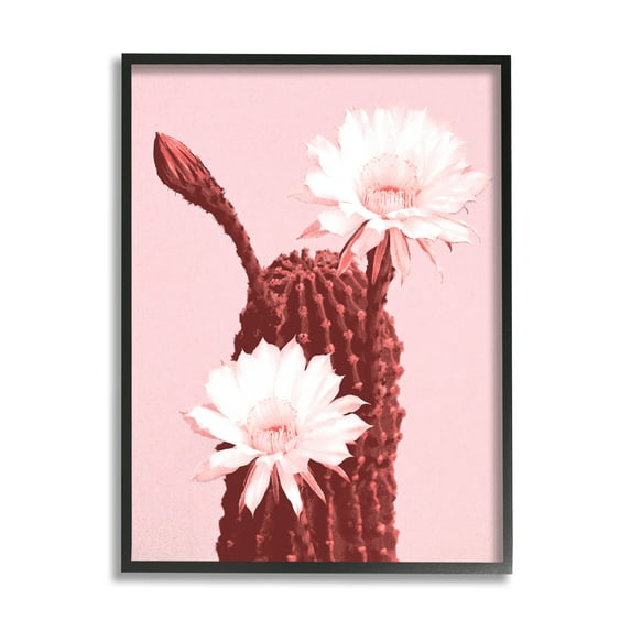 Stupell Industries Pink Cactus Flowers Botanical & Floral Painting Black Framed Art Print Wall Art, 11 x 14