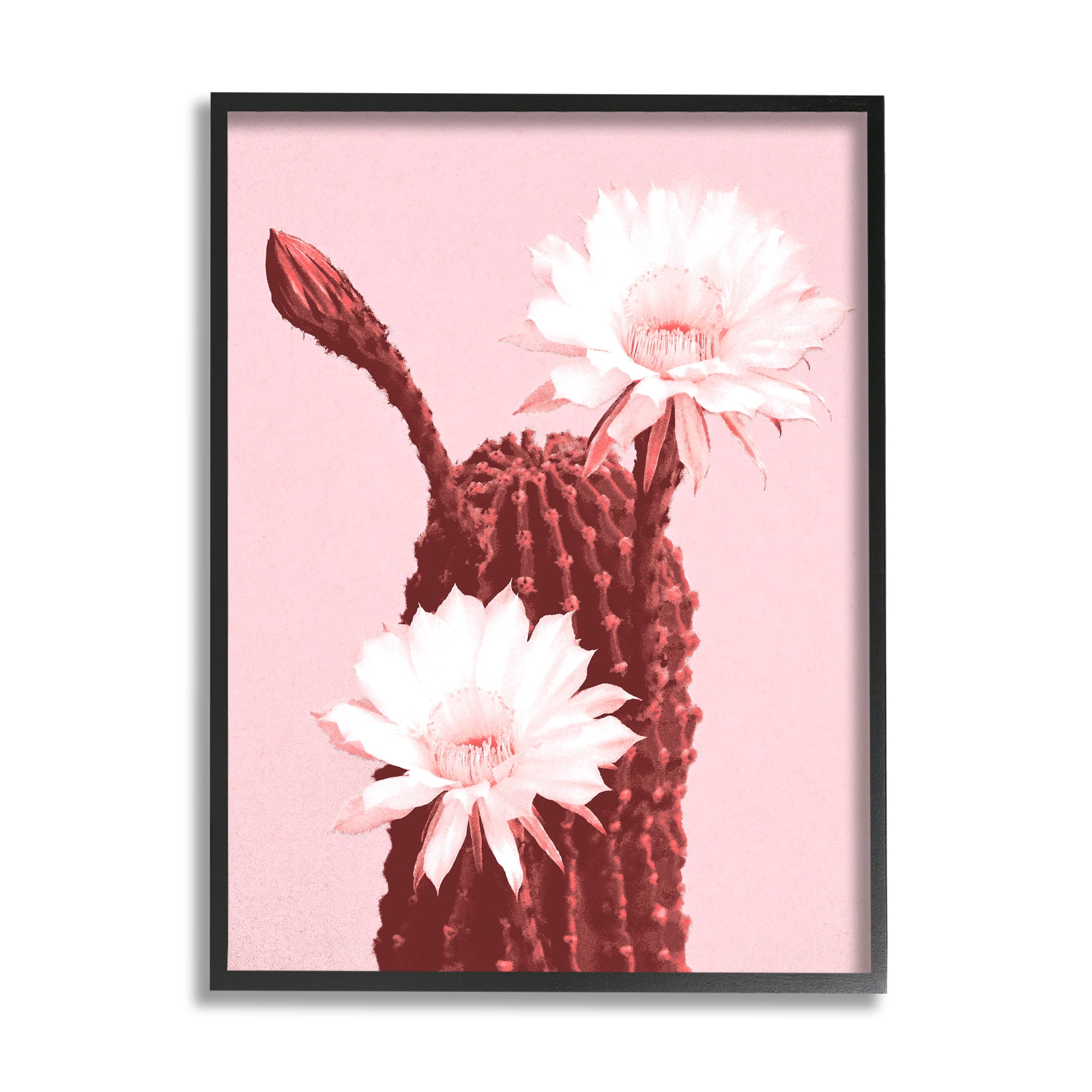 Stupell Industries Pink Cactus Flowers Botanical & Floral Painting Black Framed Art Print Wall Art, 24 x 30