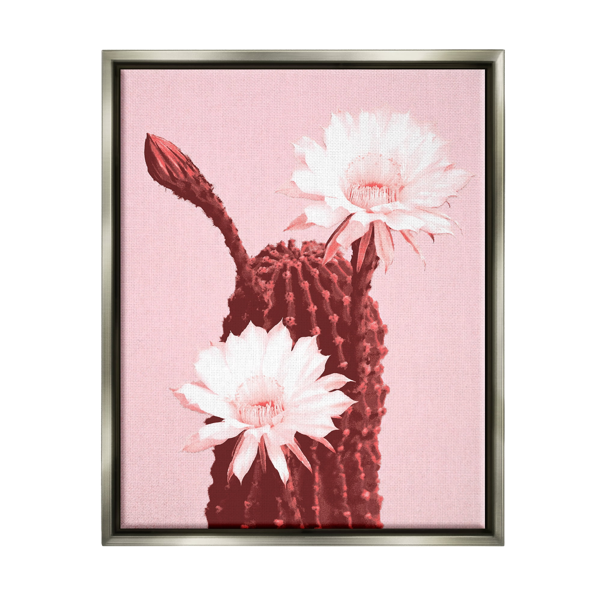 Pink and White Cactus Flowers Canvas Print with Gray Frame