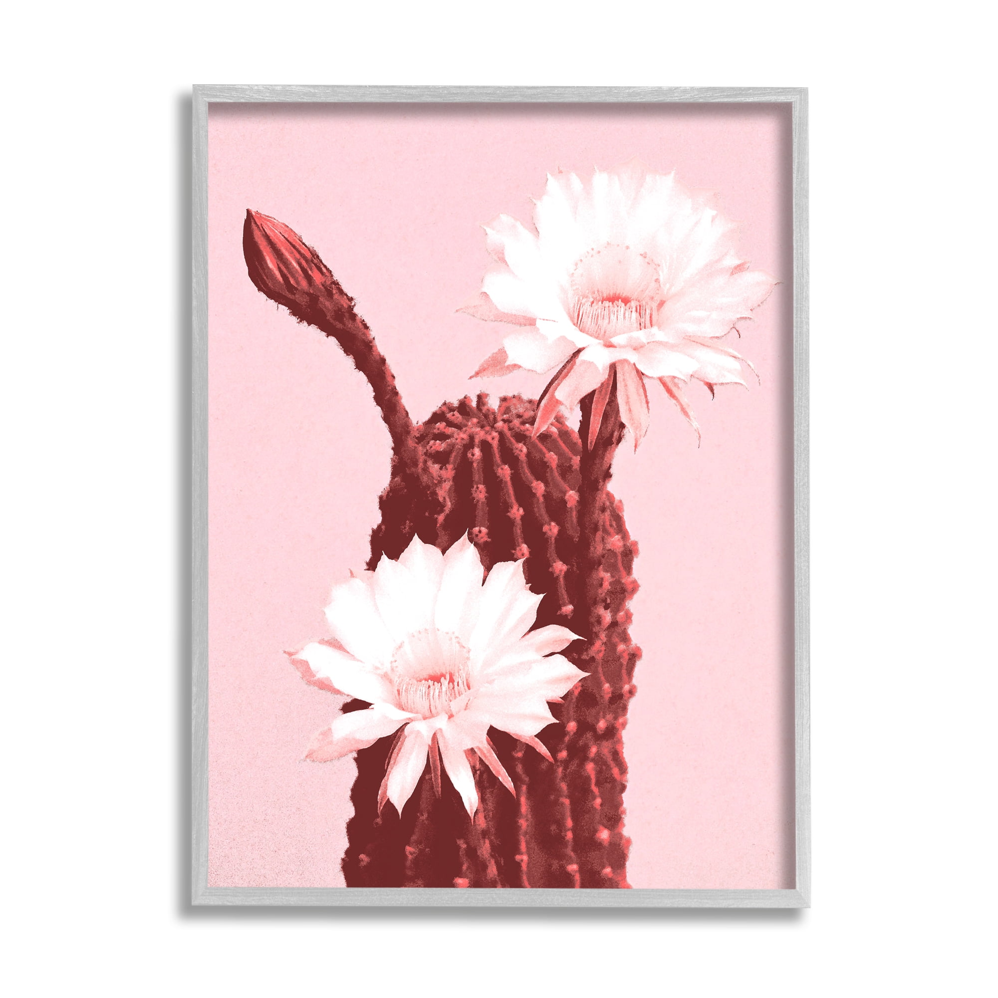 Stupell Industries Pink Cactus Flowers Botanical & Floral Painting Gray Framed Art Print Wall Art, 11 x 14