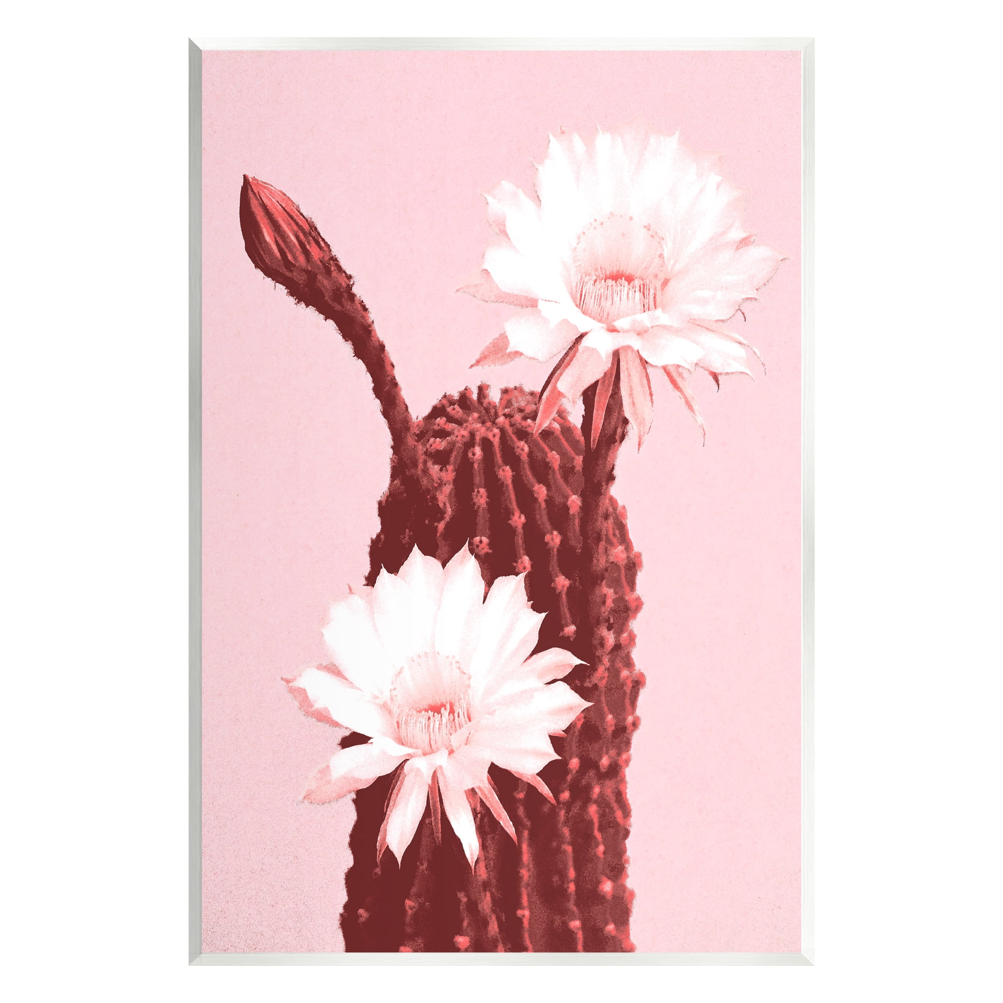 Stupell Industries Pink Cactus Flowers Botanical & Floral Painting Unframed Art Print Wall Art, 13 x 19