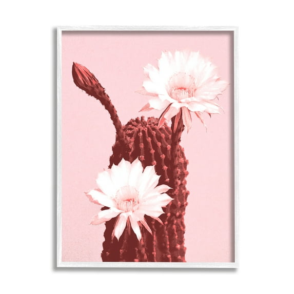 Stupell Industries Pink Cactus Flowers Botanical & Floral Painting White Framed Art Print Wall Art, 16 x 20
