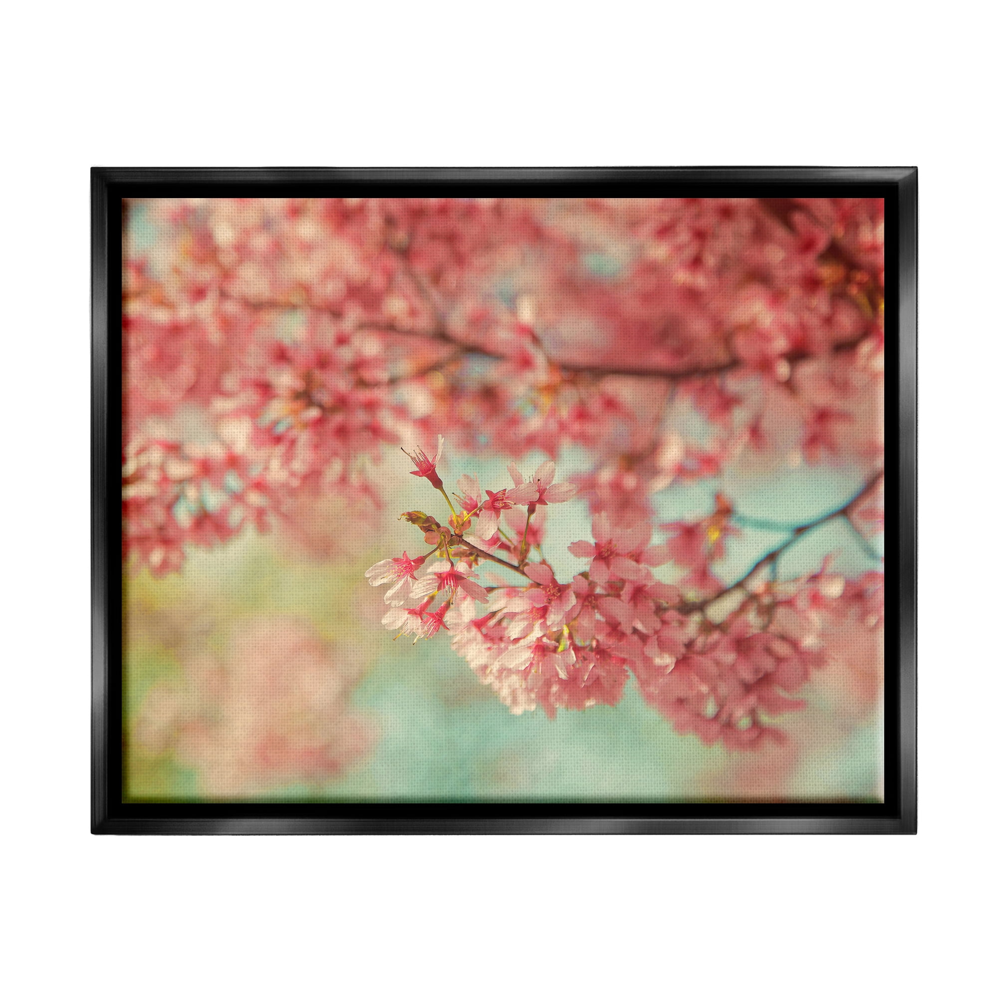 Stupell Industries Pink Cherry Blossoms Botanical & Floral Photography Black Floater Framed Canvas Art Print Wall Art, 31 x 25