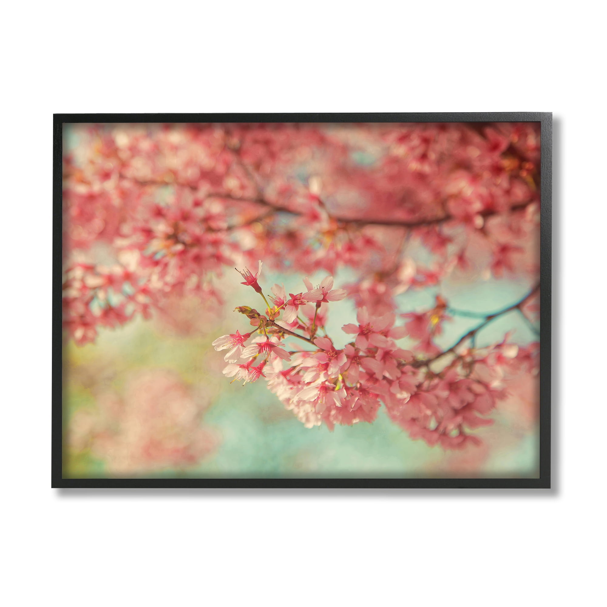 Stupell Industries Pink Cherry Blossoms Botanical & Floral Photography Black Framed Art Print Wall Art, 30 x 24