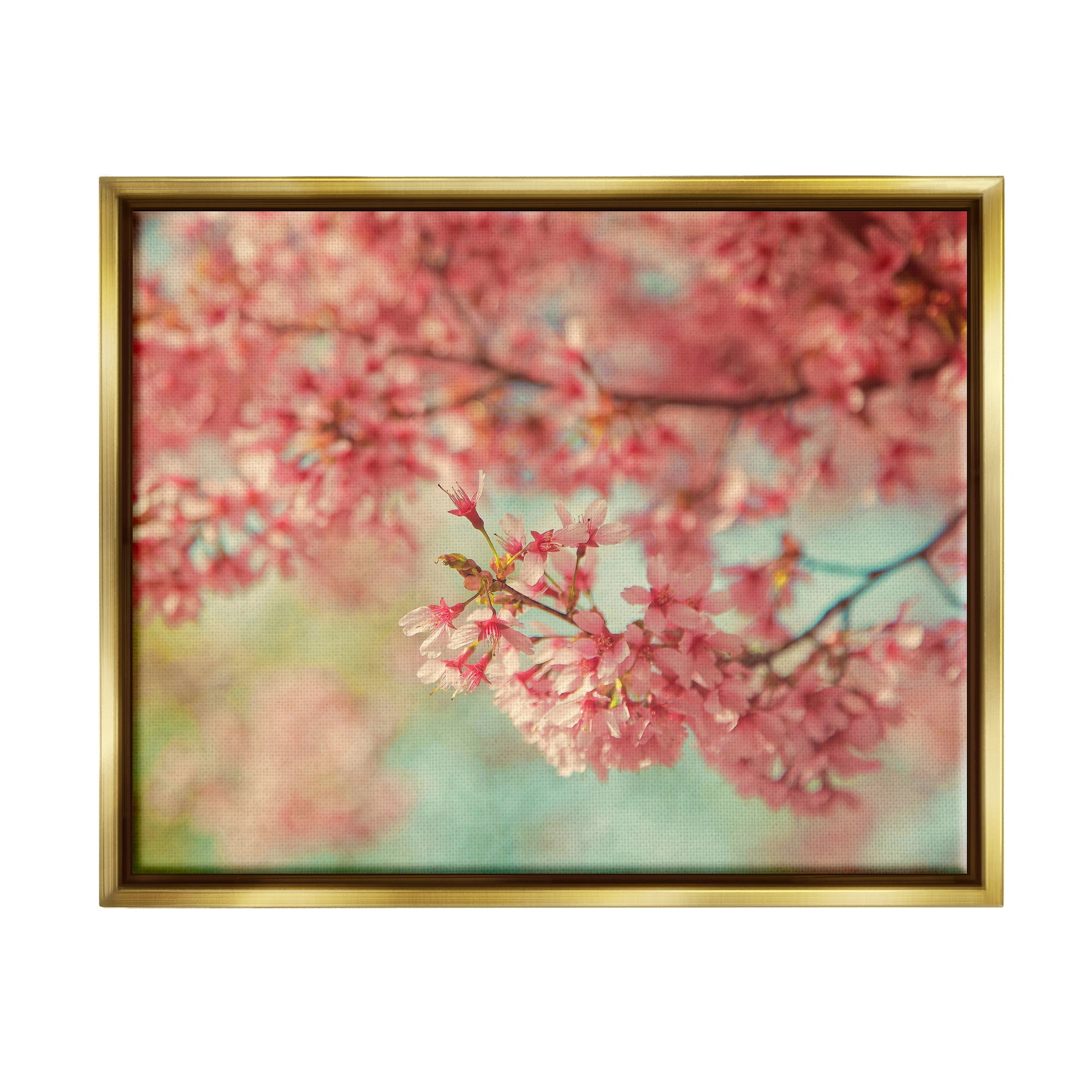 Stupell Industries Pink Cherry Blossoms Botanical & Floral Photography Gold Floater Framed Canvas Art Print Wall Art, 31 x 25